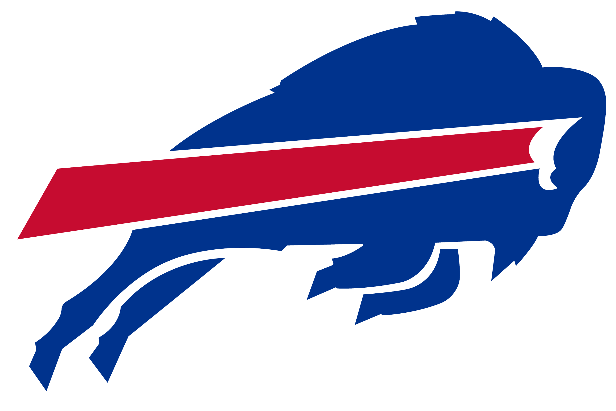 Bills